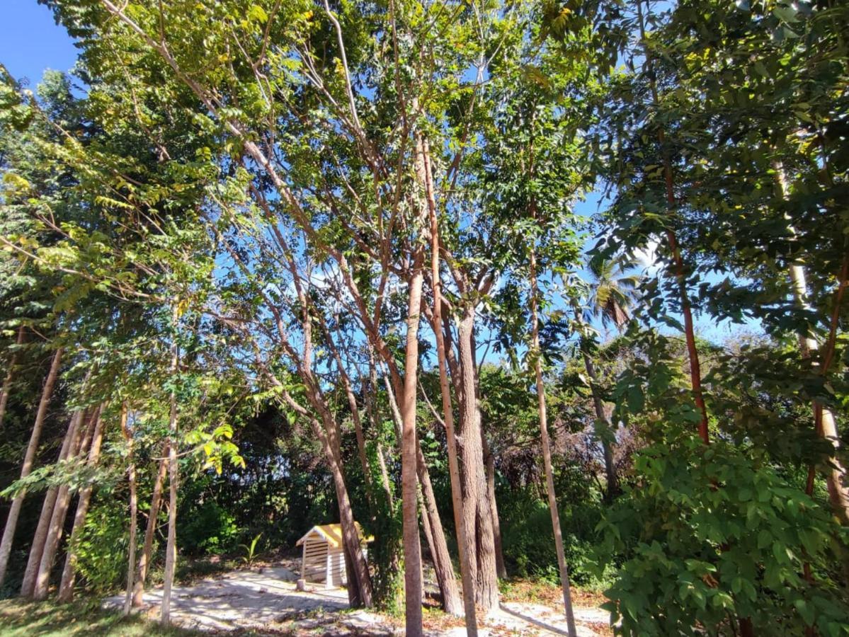 São José da Coroa Grande Casa Nova 2 빌라 외부 사진